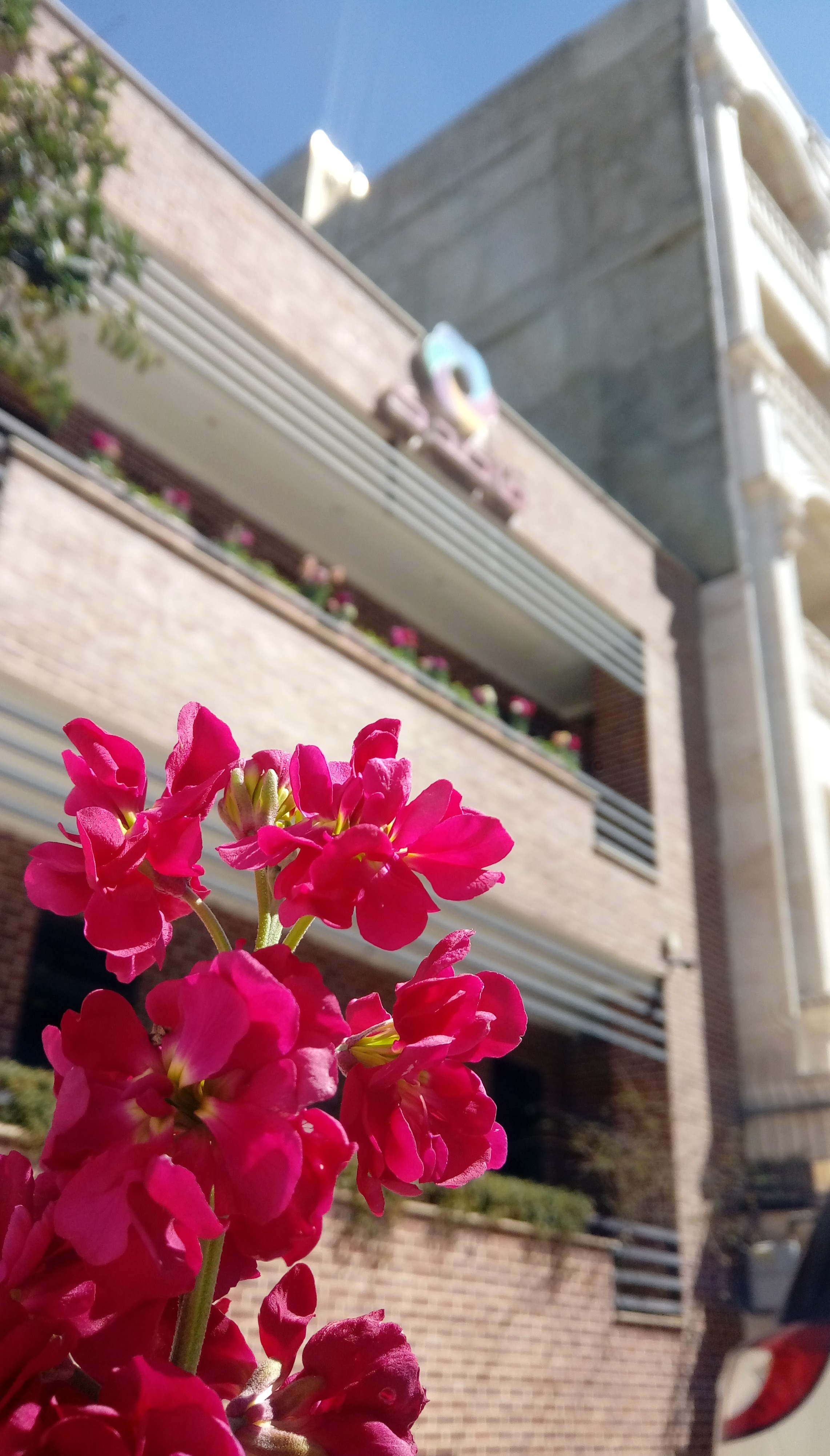 نمایی از شرکت قاصدک